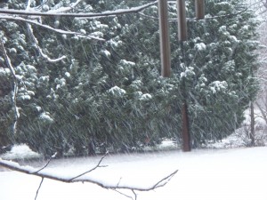 Snow falls onto the lawn.