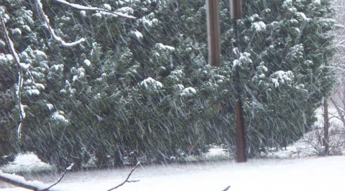 Winter weather and preparedness