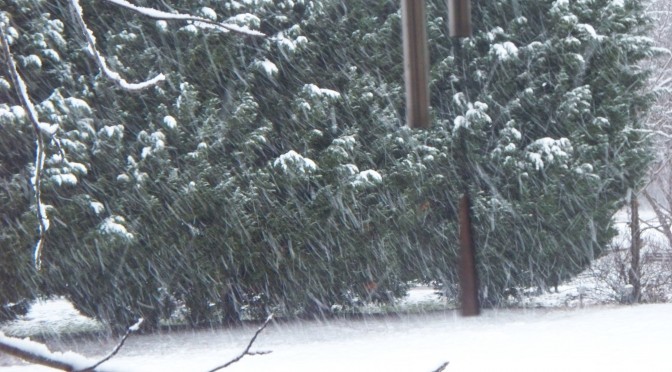 Snow falls onto the lawn.